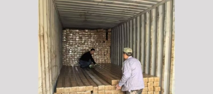 Standard package for container door seals