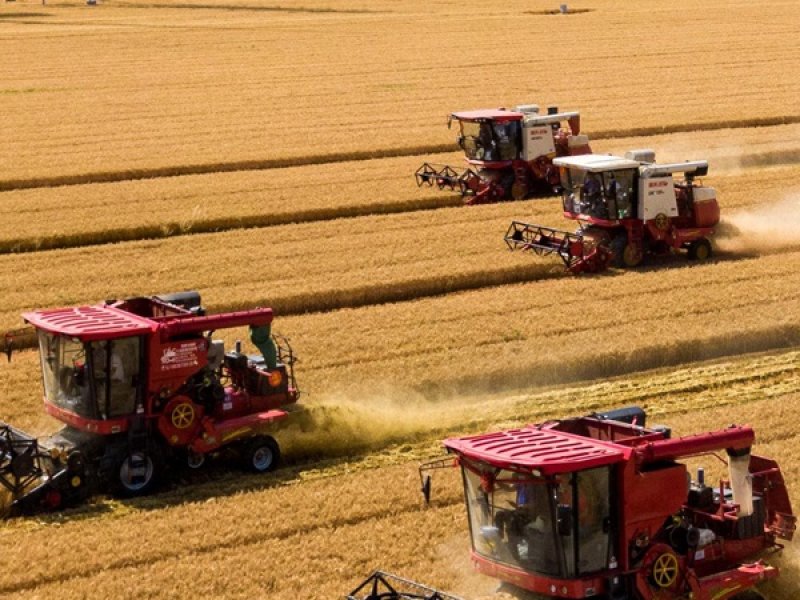 Rubber molded parts and rubber extrusion for agricultural machinery 3